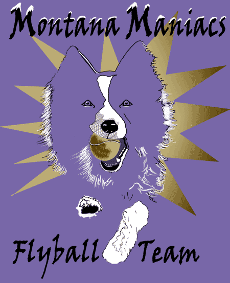 flyball teeshirt